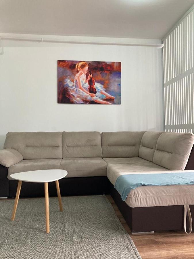 Best View Ap With Parking And 2 Bathrooms Sinaia Exteriör bild