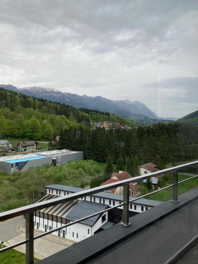 Best View Ap With Parking And 2 Bathrooms Sinaia Exteriör bild