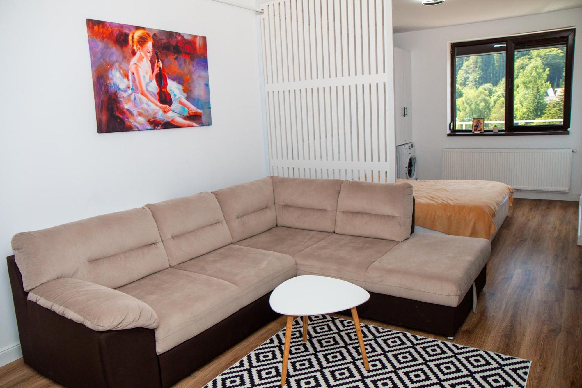 Best View Ap With Parking And 2 Bathrooms Sinaia Exteriör bild