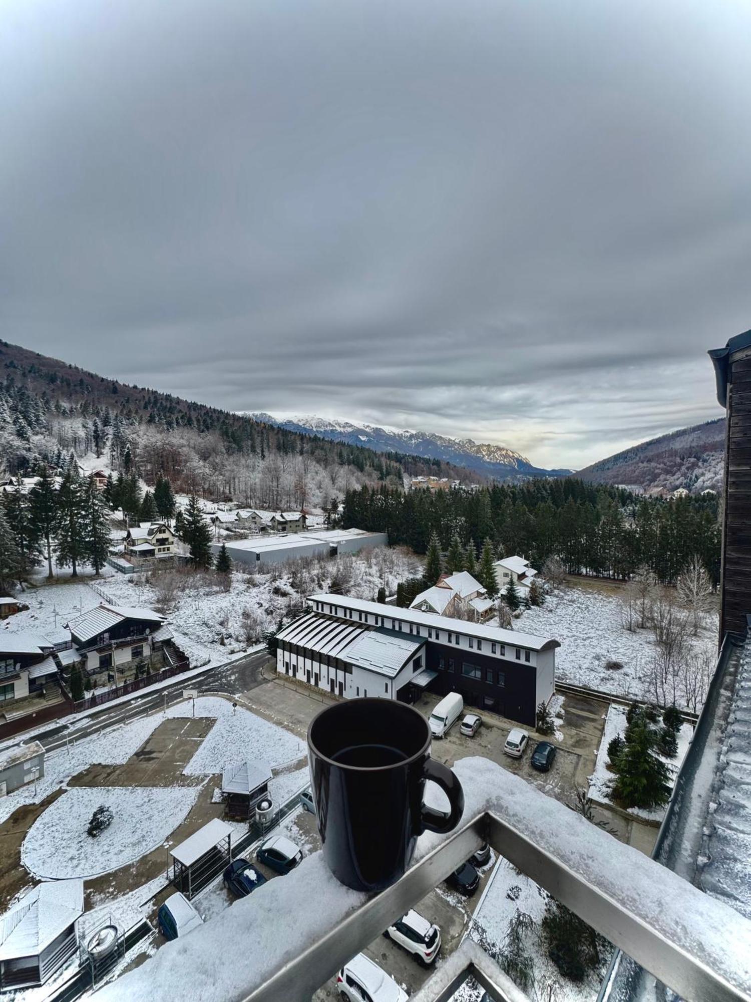 Best View Ap With Parking And 2 Bathrooms Sinaia Exteriör bild